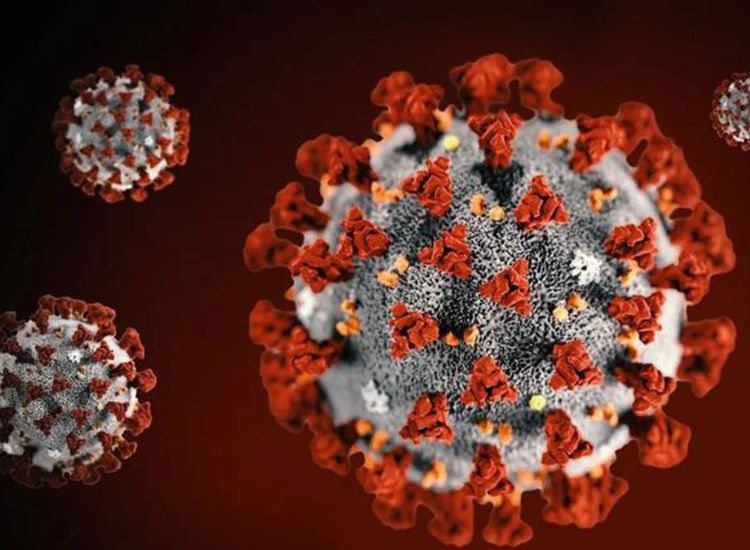 Digitally rendered close-up of the SARS-CoV-2 virus, showing a spherical structure with red spike proteins protruding from its surface. The viral envelope appears in gray and white, set against a dark red gradient background to emphasize the virus particles.