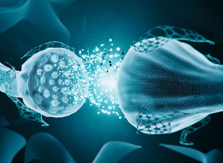 The Chemical Messengers of the Brain