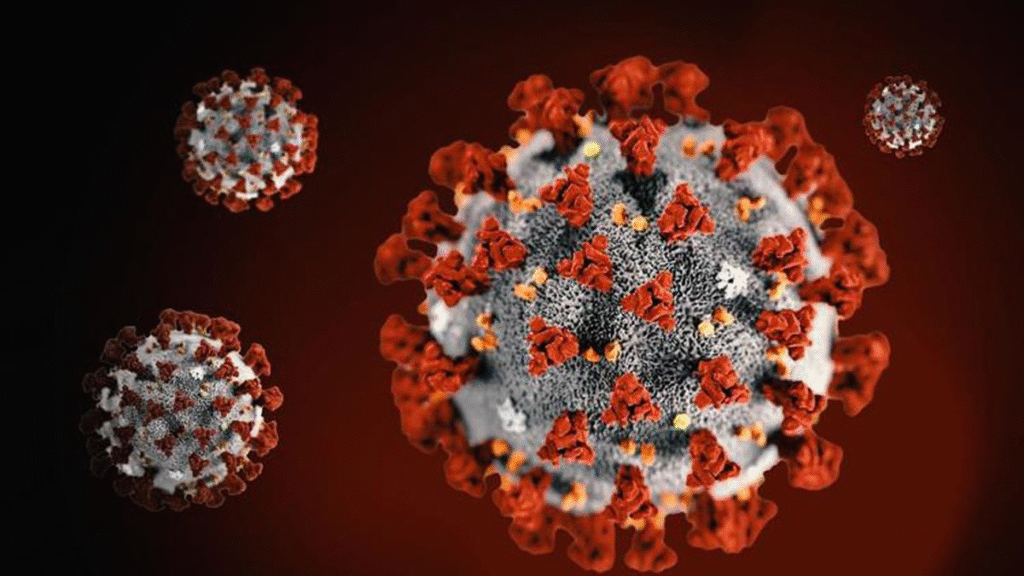 Digitally rendered close-up of the SARS-CoV-2 virus, showing a spherical structure with red spike proteins protruding from its surface. The viral envelope appears in gray and white, set against a dark red gradient background to emphasize the virus particles.